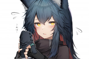 篮球盛宴！NBA各路豪强谁能掀起连胜狂潮